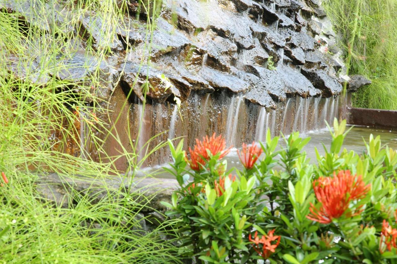 Ayurveda Centrum Lawrence Hill Paradise Hikkaduwa Exteriör bild