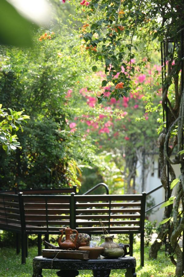 Ayurveda Centrum Lawrence Hill Paradise Hikkaduwa Exteriör bild